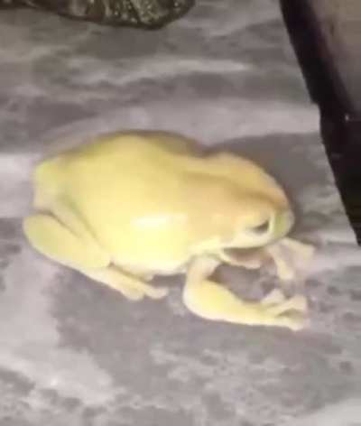 iiiiii