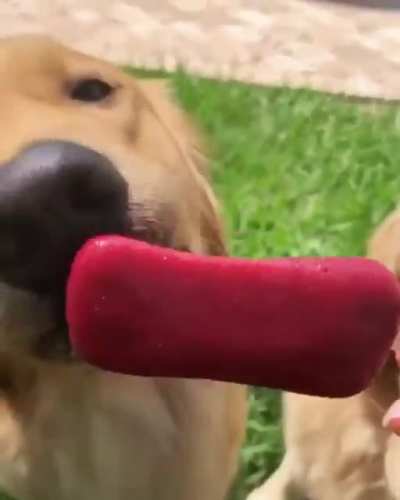 Sharing Is Caring