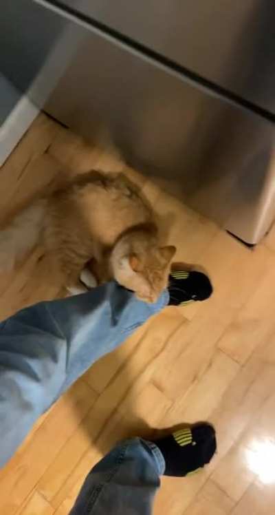 He have affronted him