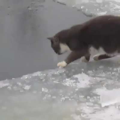 Хоба!