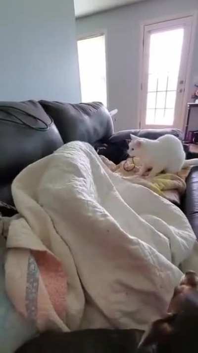 I Said Wake Up