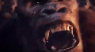THIS VIDEO WAS SPONSORED BY SURF SHARK, GODZILLA X KONG IS OBJECTIVELY TERRIBLE BECAUSE OF MINUS ONE AMD ONLY JAPAN CAN MAKE A GOOD GODZILLA MOVI-