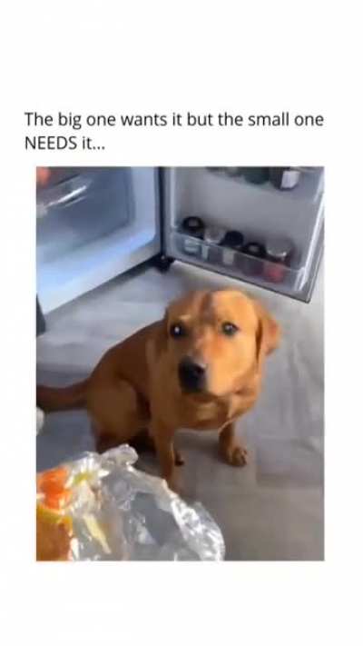 Taco withdrawal is no joke