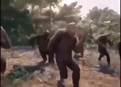Mohnke