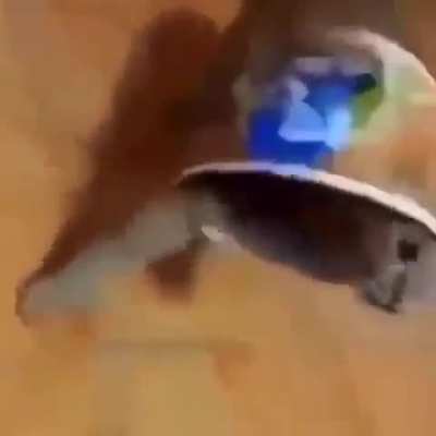 What he doing