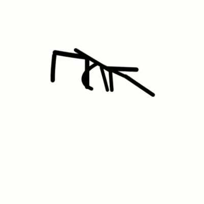 The Secret of the Stick Bug !