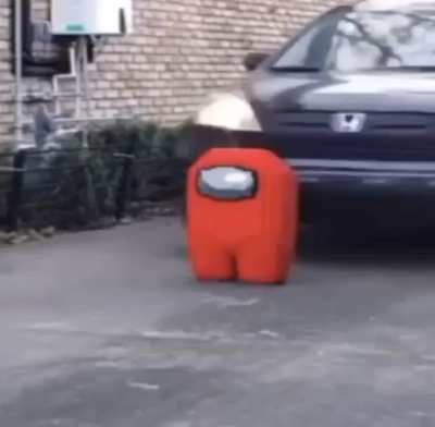 Amogus Sus
