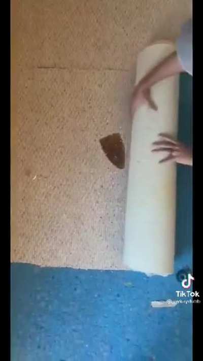Now that's a lot of damage