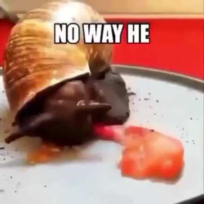 no way he