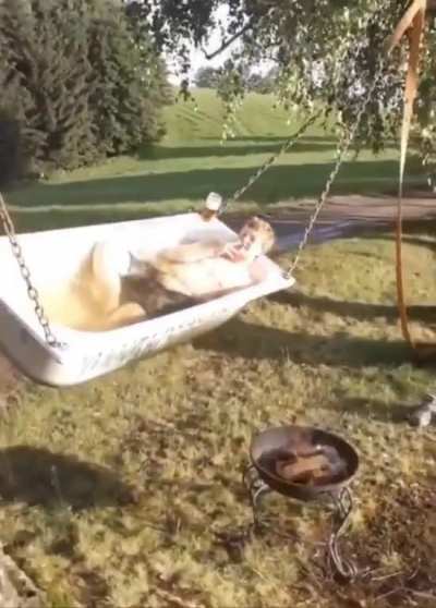 Redneck life