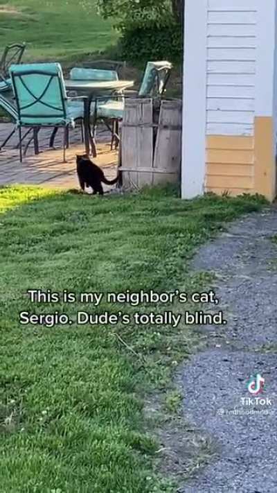 Marching like he knows where he's going