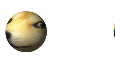 Doge did not do it, he did not