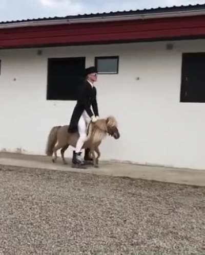 1/2 horse power