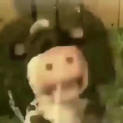 Nooo😭