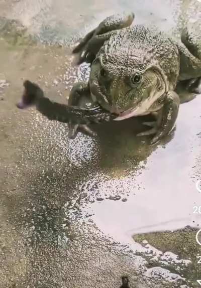 Maybe maybe maybe