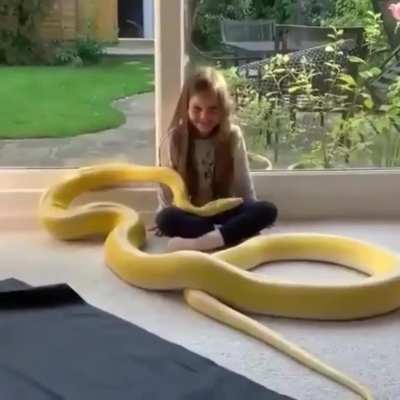 snek wants pets