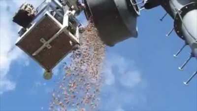 The amount of acorns squirrels stored in this cell tower