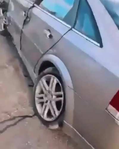 no shit