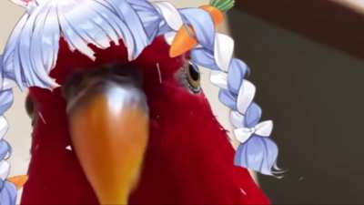 You thought it was a meme about Holotori?
