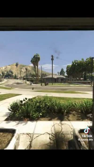They made a GTA mod outta Seb 💀💀