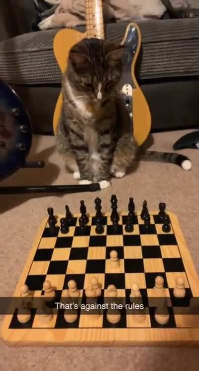 mittens irl