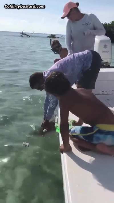 Shark bite