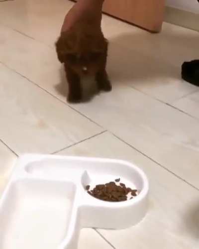 Tap tap tap