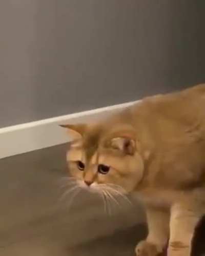 Error 503