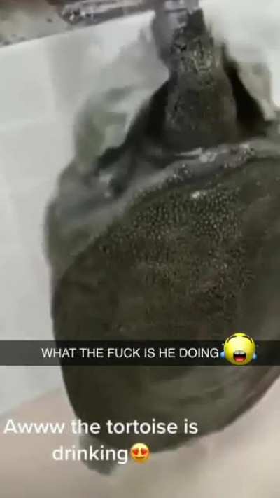 💀💀