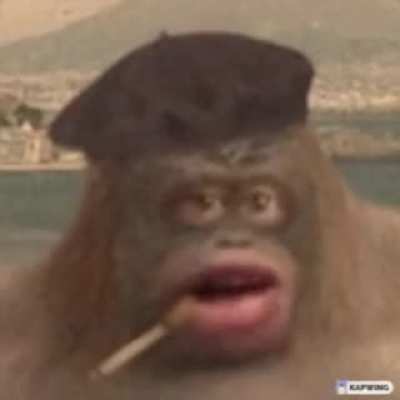 Big stinky rush