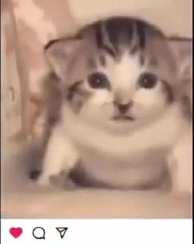 Very sensitive content indeed