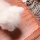 Moms got ur back