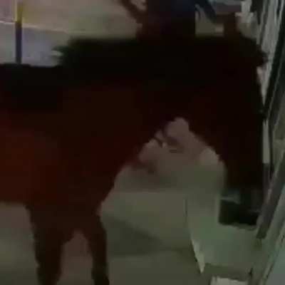 Opa né