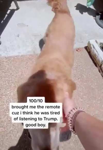 Good senior boi
