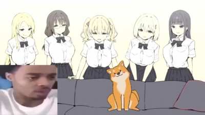 Que le van a hacer al perro?