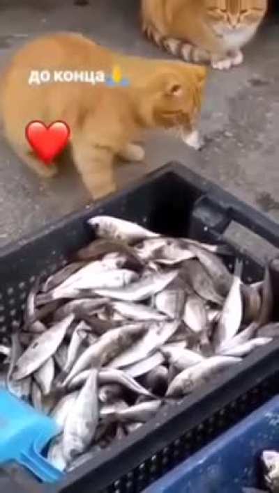 Sharing is caring