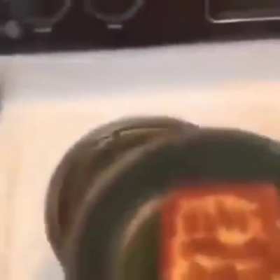 The toast stands