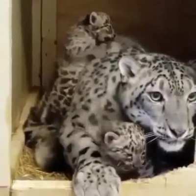 The joy of motherhood