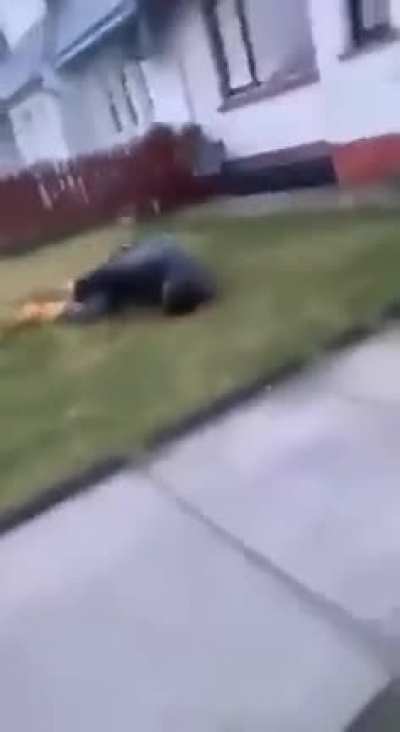 Guy jumps off of a roof, breaks legs instantly