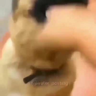Top épico