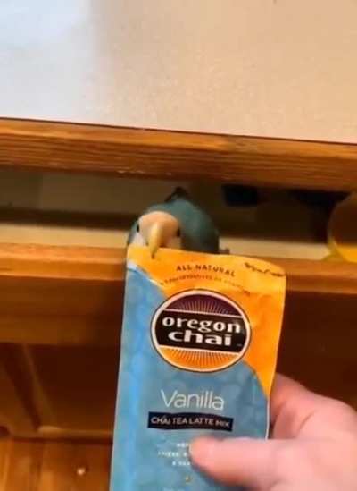 OpenerBirb