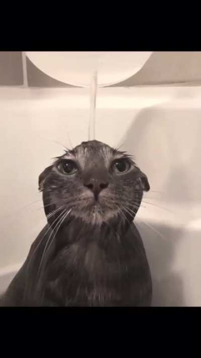 Happy now?