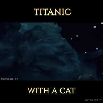 The editing skills are just.. Wow! (source Owlkitty)