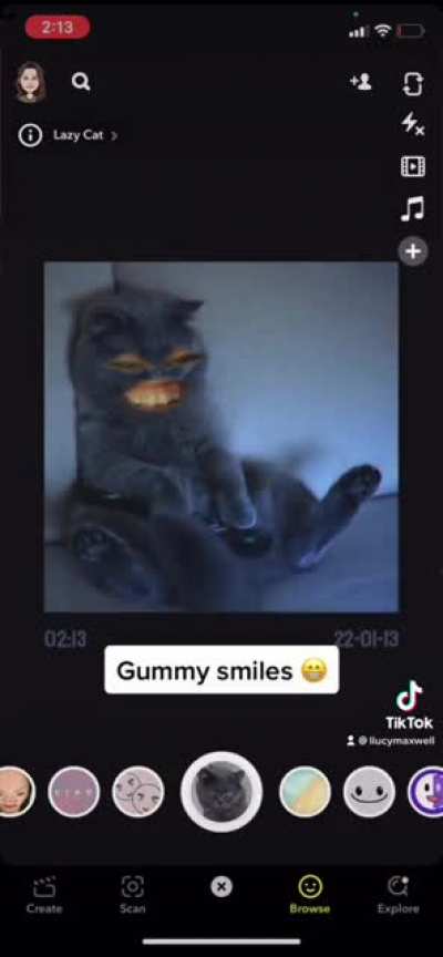 Gummy smilezzz