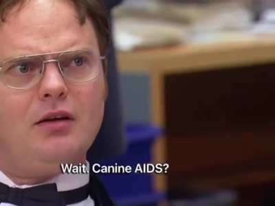 Steve Carell wrote this episode which contains some of the best dialogues in the series.