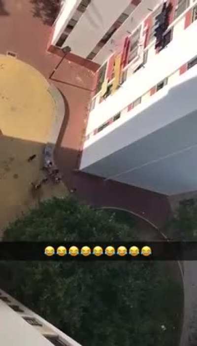 Someone throws a bag full of water to scare the kids away