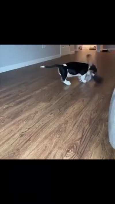 Enjoy