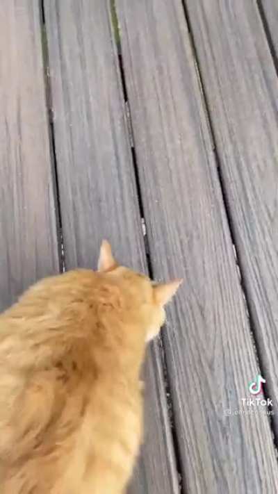 Let's go outside