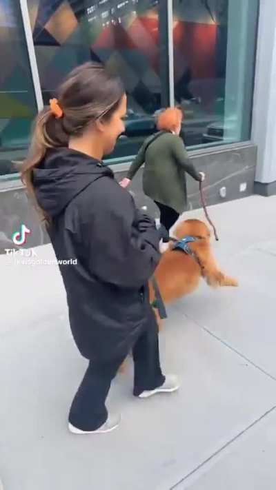 Look, Mom, a stick!