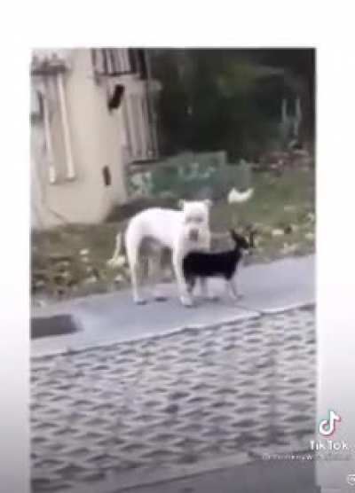 😂😂